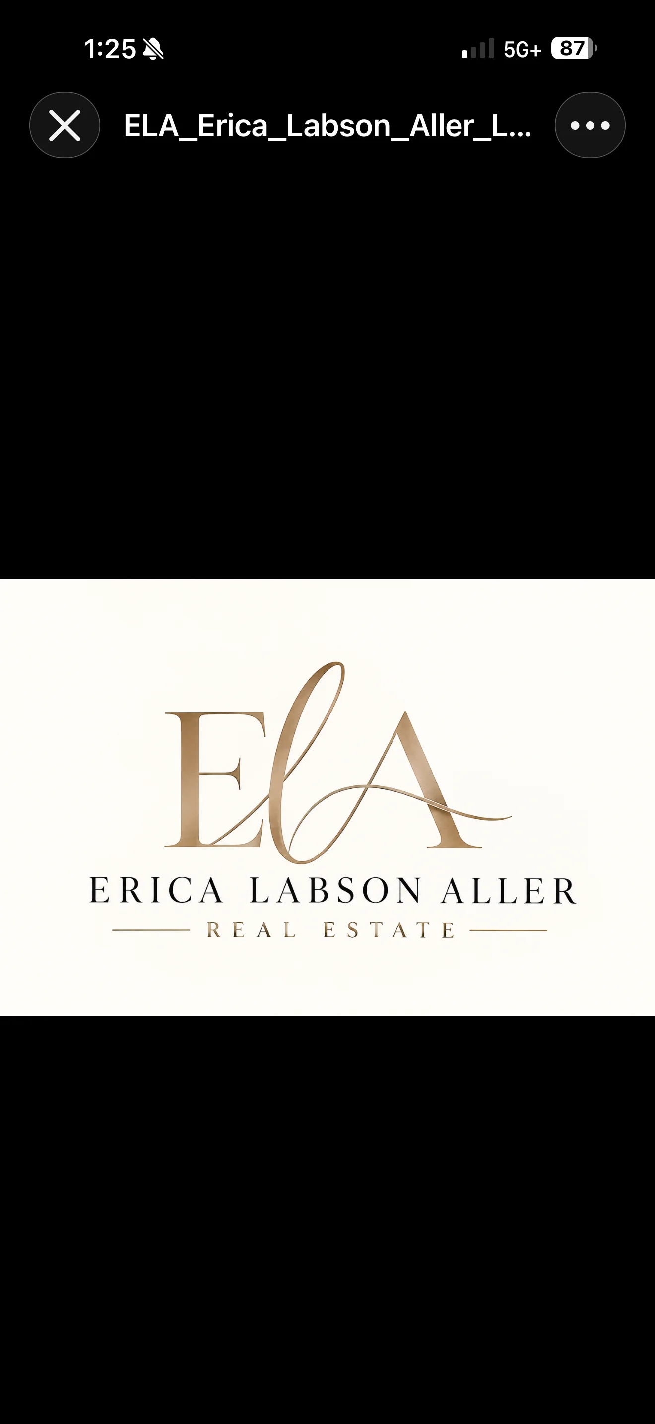 Erica Labson Aller Real Estate gold ELA monogram